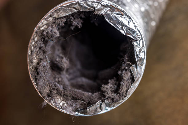 Best Ventilation Cleaning Services  in Palo Cedro, CA